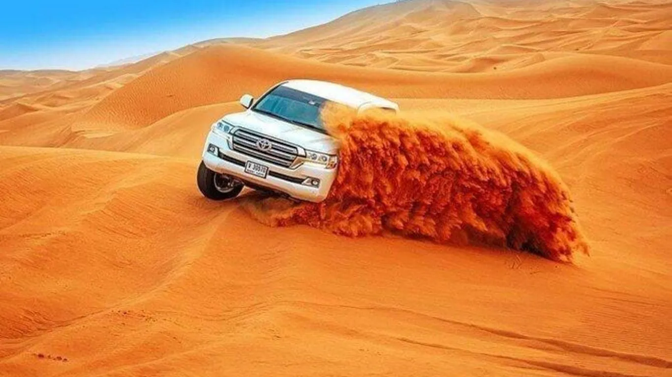 Untitled design (41)