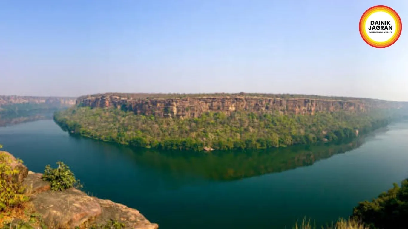 How the Curse Became Conservation (2)