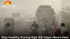 Don’t Let Air Pollution Take a Toll on Your Health: 5 Daily Habits to Follow