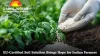 SafeRock® Minerals: A Scientific Breakthrough Reviving India’s Soil and Reducing Fertilizer Dependency