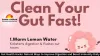 Gut Health Hacks: Natural Ways to Improve Digestion and Boost Immunity Daily