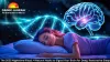 The 2025 Nighttime Ritual: 4 Natural Hacks to Signal Your Brain for Deep, Restorative Sleep