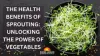 Sprouts Gain Popularity as a Superfood: Experts Highlight Major Health Benefits