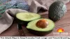 Five Simple Ways to Keep Avocados Fresh Longer and Prevent Browning
