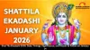 Shat Tila Ekadashi 2026: Date, Timings, Significance, and Rituals to Follow on January 14