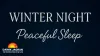 Sleep Deeply This Winter: 5 Non-Negotiable Night Hacks for 2026