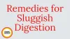 Beat Post-Meal Slump: The "Ginger and Rock Salt" Rule for Sluggish Digestion