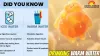Ditch Cold Water: Why Warm Fluids Are the 1 Health Hack for Winter 2026 in India