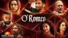 Court Clears Shahid Kapoor’s ‘O Romeo’ for Release, Dismisses Plea Over Privacy Claims