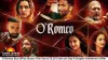 O Romeo Box Office Slows: Film Earns ₹5.10 Crore on Day 4 Despite Valentine’s Offer