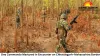 Three Maoists Killed, One Commando Martyred in Encounter on Chhattisgarh–Maharashtra Border