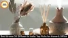 Best Aroma Oil Diffuser in India: Top Picks for Home & Office 
