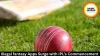 Illegal fantasy Apps Surge with IPL’s Commencement 