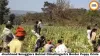 Jharkhand Smugglers Behind Chhattisgarh's Border Poppy Crisis: Ambikapur's Drug Network Exposes the State's Opium Emergency