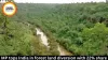 MP tops India in forest land diversion with 22% share