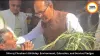 Union Minister Shivraj Singh Chouhan Turns 66, Plants Trees and Announces Key Social Initiatives