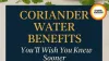 April 2026: Why You Must Drink Coriander Seed Water This Summer