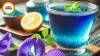 Butterfly Pea Tea: The Blue Summer Drink Protecting Skin Naturally