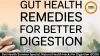 Gut Health Summer Special: Natural Health Hacks for Digestion (2026)