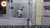 Rewa Hospital Misconduct: Legal Action Against Policemen