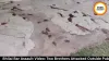 Bhilai Bar Assault Video: Two Brothers Attacked Outside Pub