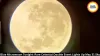 Blue Micromoon May 31: Rare Celestial Event Tonight
