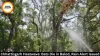  Chhattisgarh Heatwave: Bats Die, Rain Alert Issued