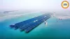 China Expands Floating Solar Projects on Lakes and Reservoirs for Clean Energy Growth