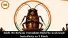 Delhi HC Refuses Cockroach Janta Party X Account Relief