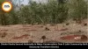 Dindori Ranks 2nd in India Water Conservation 2026