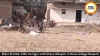 Elder Brother Kills Younger with Sharp Weapon in Rewa Village Dispute