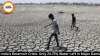 India Reservoir Crisis: Only 24.75% Water in Major Dams