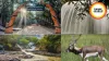 Kanger Valley National Park: A Hidden Paradise of Forests, Caves, and Wildlife in Chhattisgarh