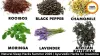 Natural Sleep Hacks Summer 2026 | Ayurvedic Herbs for Insomnia