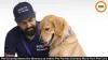 Pet Groomly Meets the Moment as India’s Pet Parents Demand More from Pet Care