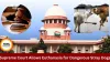 Supreme Court Says Dangerous Stray Dogs Can Be Given Euthanasia, Public Safety Is Priority