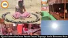 Ujjain Saints Perform Panch Dhuni Tapasya Amid Extreme Heat