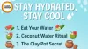 Beat Summer Heat Naturally: 5 Ancient Hydration Hacks for 2026