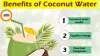 Coconut Water Morning Ritual: Better Than Caffeine