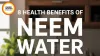 Neem Juice Natural Health Hack for Summer 2026 India