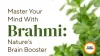 Brahmi for Mental Fog Natural Summer Hack 2026 India