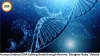 Human Embryo DNA Editing Breakthrough Revives ‘Designer Baby’ Debate
