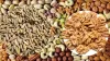 Which Dry Fruit Has the Hottest Nature? Experts Warn Against Excess Consumption in Summer