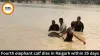 Fourth elephant calf dies in Raigarh; body found in Mand river