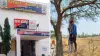 Lovers Found Hanging from Same Tree in Surguja, Shock Grips Village; Police Launch Investigation