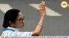 TMC National Working Committee Reconstituted Amid Escalating Party Control Battle