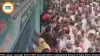 TMC Leader Jahangir Khan's Wife Serena Bibi Arrested