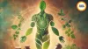 Morning Rituals for Summer: Ghee, Honey, Herbal Drinks Boost Health 2026