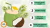 Coconut Water With Tulsi Beats Summer Heat Naturally