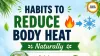 Beat Summer Heat Naturally: Desi Coolants Make a Comeback 2026